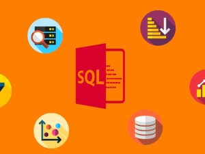 SQL for Newcomers