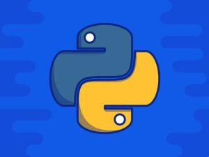 Beginner Python programming course